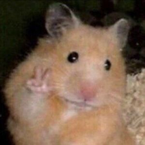 Meet your Posher, Chloe